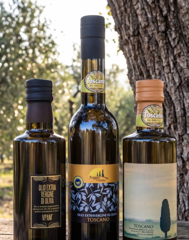 Three bottles of Tuscan IGP extra virgin olive oil leaning against the trunk of an olive tree, including a "Poggio Vento" bottle with a golden label, photographed in an olive grove.