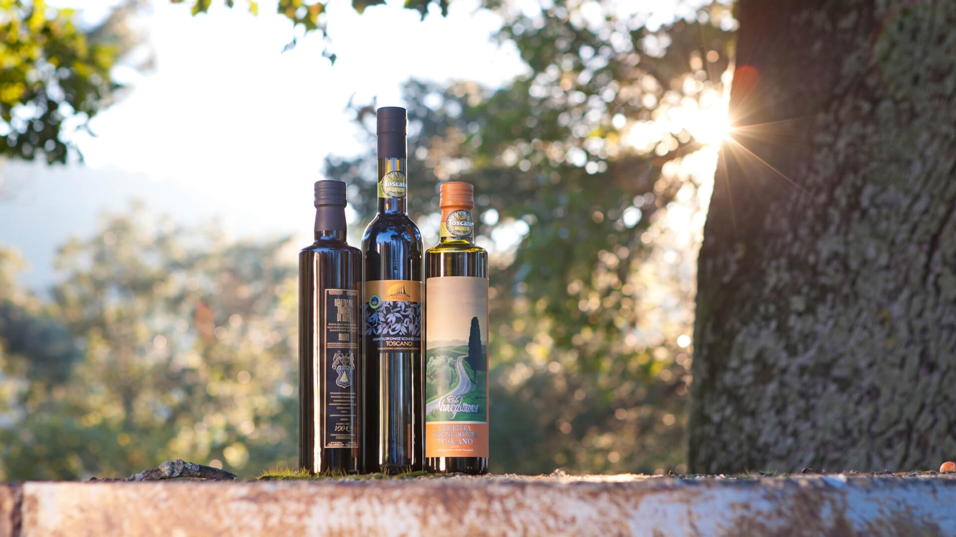 Tre bottiglie di olio extravergine di oliva Toscano IGP disposte su un muretto in pietra, illuminate dal sole che filtra tra le fronde degli alberi sullo sfondo, creando un effetto di luce raggiante.
