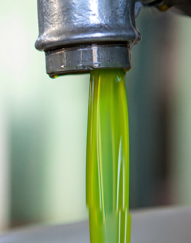 Freshly pressed extra virgin olive oil of a bright green colour flowing from a steel dispenser during the pressing process.